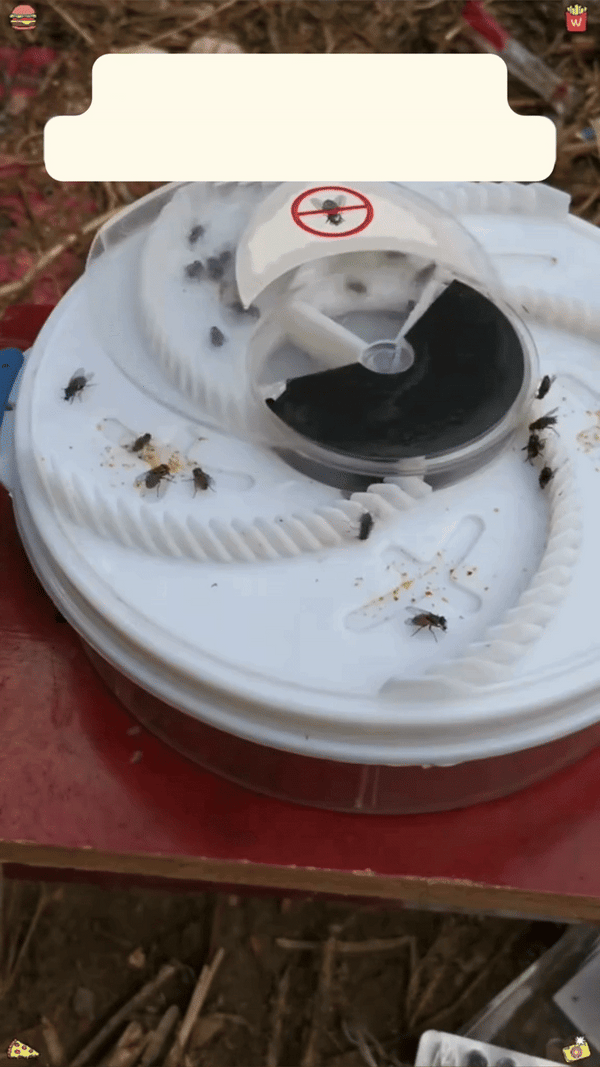 Atrapa Moscas Eléctrico USB